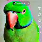 Parrot_lovers