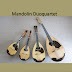 Mandolin_Duoquartet