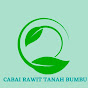 Cabai Rawit Tanah Bumbu