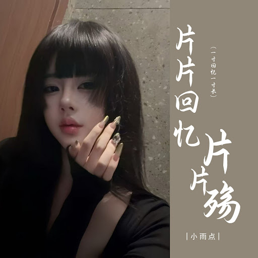 片片相思片片殇 (一寸回忆一寸长 Dj彭锐版)