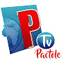 Pactole Télévision Culturelle 