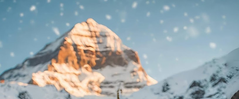 Artist Thumbnail