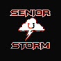 Senior Storm Dance Team 2020