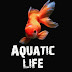 Aquatic life