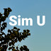 연Sim U