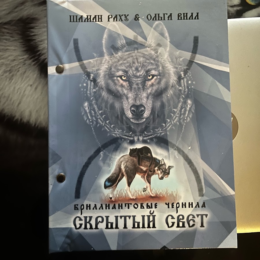 Сегодня шаман раху. Шаман Раху. Шаман Раху книга. Шаман Раху дзен. Не лаконичные новости шаман Раху сегодня.