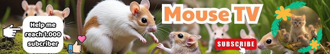 Mouse TV