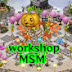 Workshop MSM