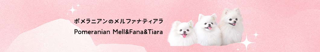 ポメラニアンのメルファナティアラ　Pomeranian Mell & Fana&Tiara