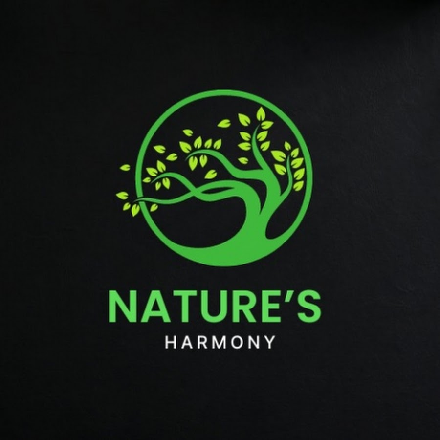 Natures Harmony - YouTube Natures Harmony