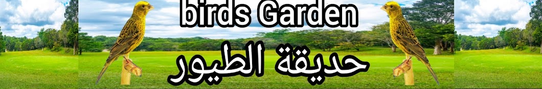 Birds Garden | حديقة الطيور