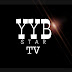 logo YYB Star