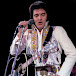 Elvis Presley New Concert CD