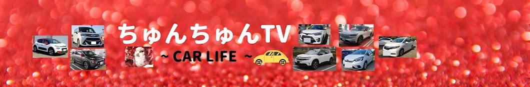 ちゅんちゅんTV 【Car Life】