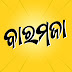 logo Baramaja