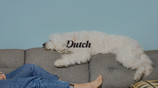 Banner image for Dutch Vet