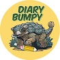 Diary Bumpy