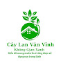 Cây Lan Văn Vĩnh