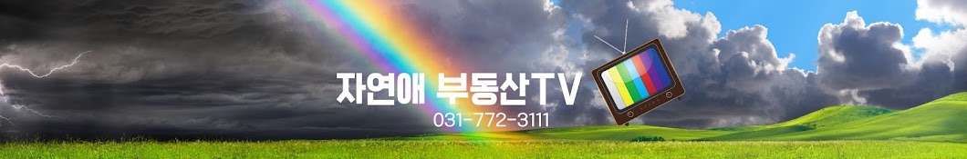 자연애 부동산TV