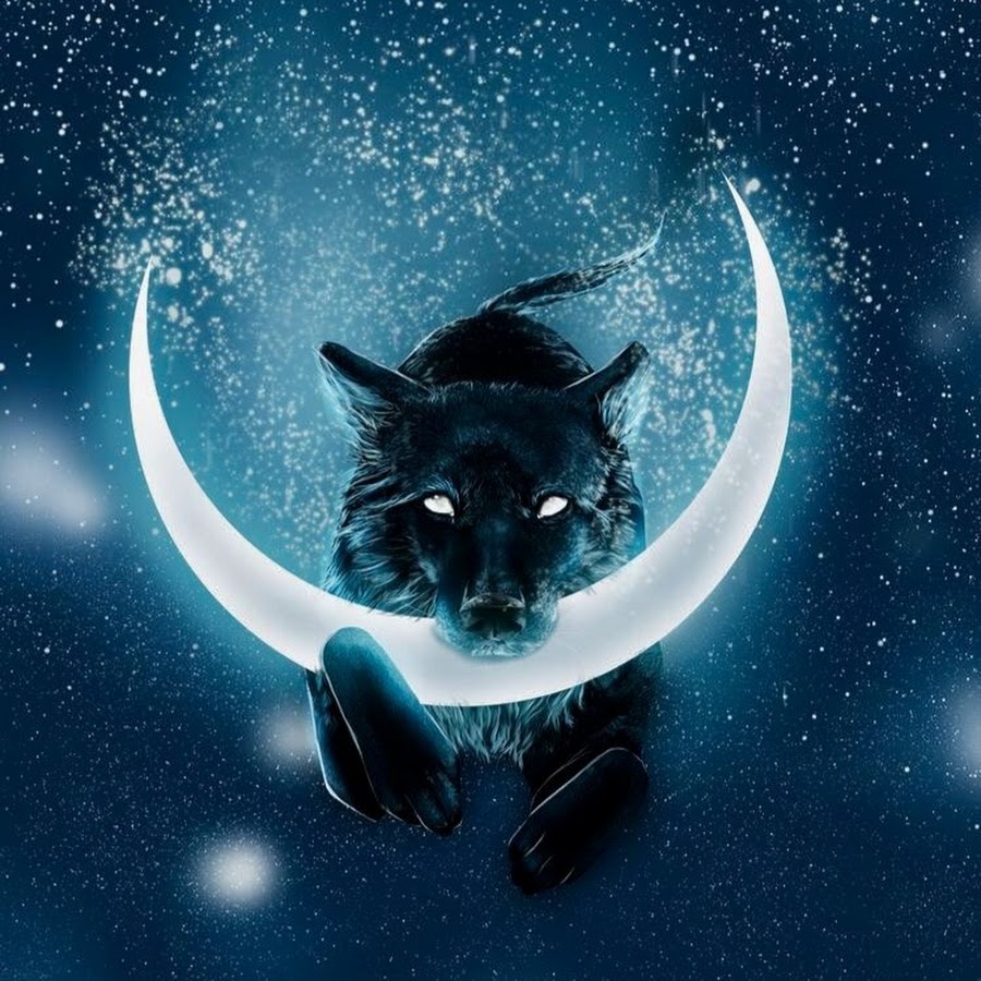 Ночь Луна животные арт