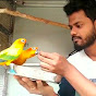 Rajdip Aviary