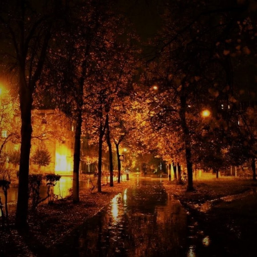 Тема поздней вечером. Осенняя ночь. Осень в городе. Осень вечер. Осенняя ночь в городе.