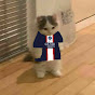 🔥 EL GATO DEL PSG🔥