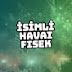 İsimli Havai Fişek