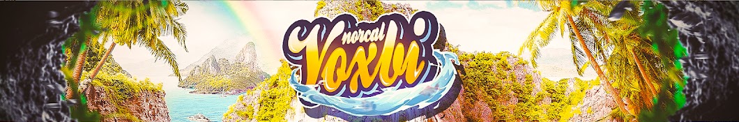 Voxbi Banner