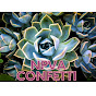 NPVA Confetti Channel