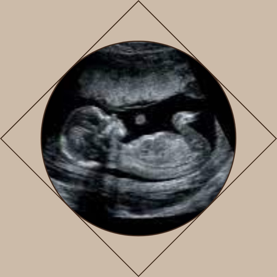 Ultrasound Daily Cases