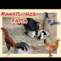 Kanatlı Hobi Fatsa