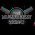 logo MUZVIDBEST