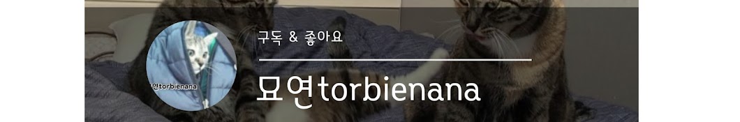 묘연torbienana