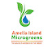 Amelia Island Microgreens