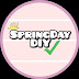 logo SpringDay DIY