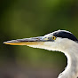 WILDLIFE - MACRO - UNDERWATER TSIAKA KONSTANTINA