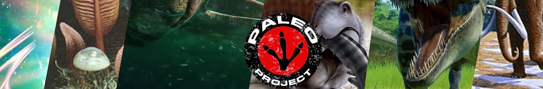 Paleo project 