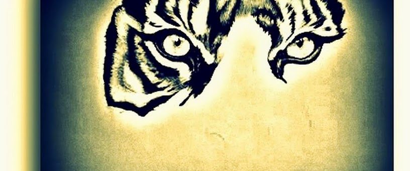 Artist Thumbnail