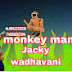 The monkey man jecky