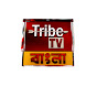 Tribe TV