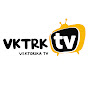 Vektorika TV