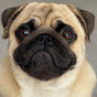 MePug