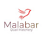 Malabar Quail Hatchery