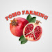 POMO FARMING