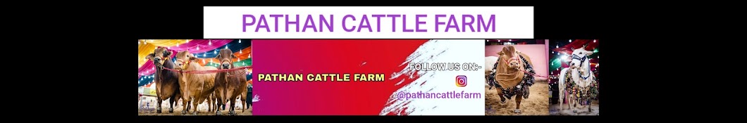 Pathan Cattle Farm