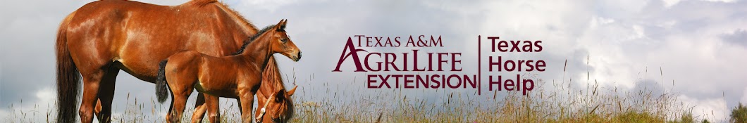 Texas Horse Help - Texas A&M AgriLife Extension