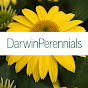 Darwin Perennials