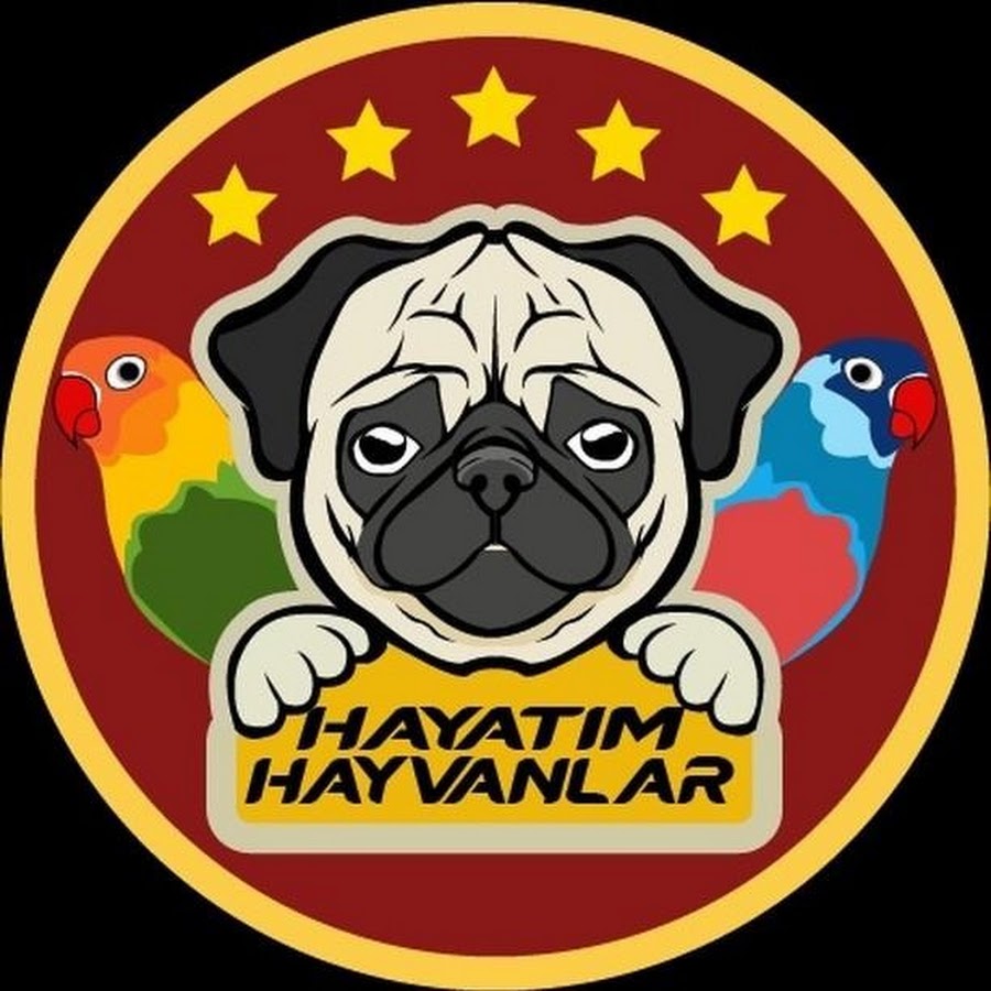 Hayatım Hayvanlar @hayatmhayvanlar