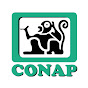 -CONAP- Consejo Nacional de Áreas Protegidas 